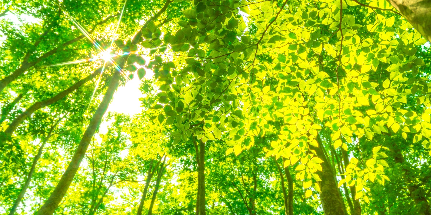 トップスライド画像01