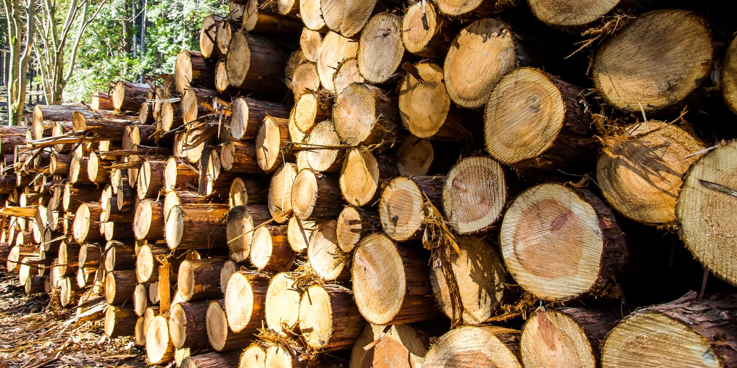 トップスライド画像02