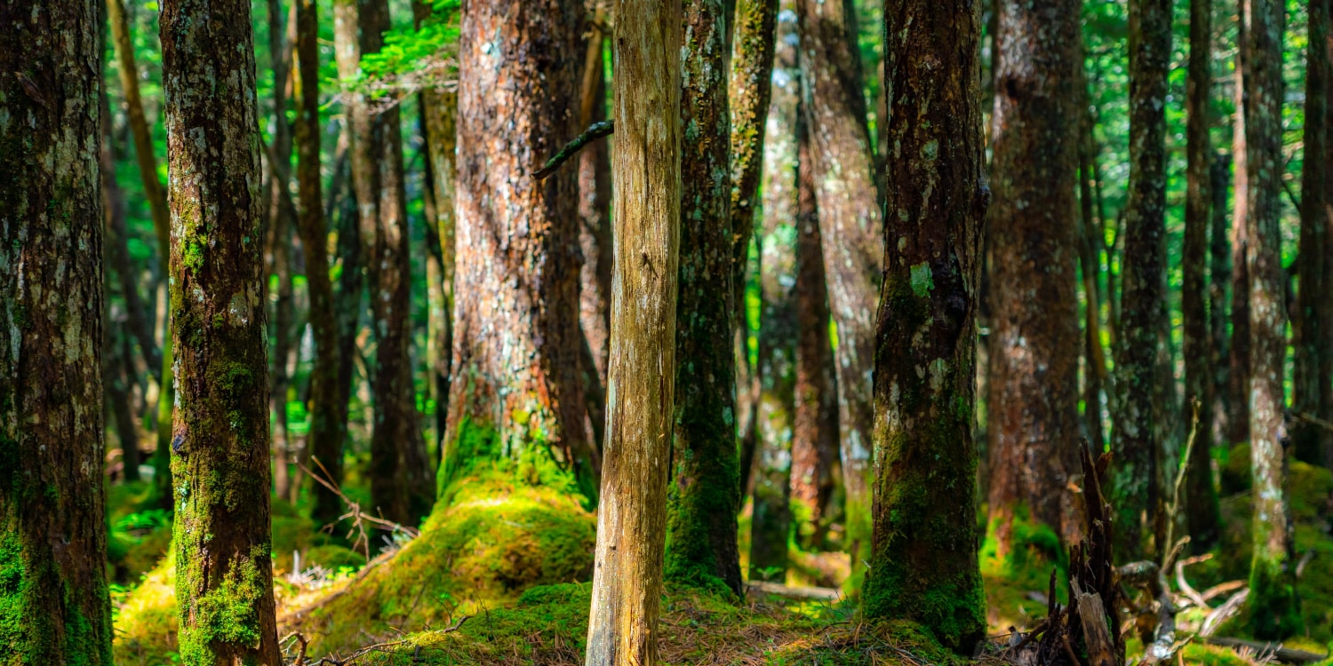 トップスライド画像04